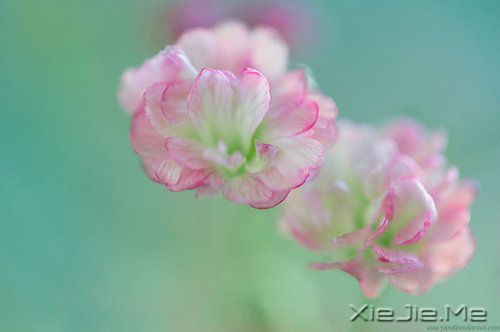 ������;���߹���֪��ǳ (7)