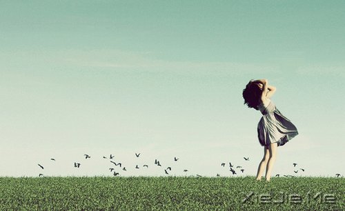 ������һ�ֳ��ܣ�����Ҫѧ��֧���Լ� (8)