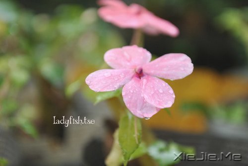 留下的,才是人生 (5)