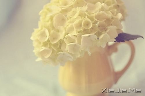 �簲�������һ������ȥ���������������� (10)