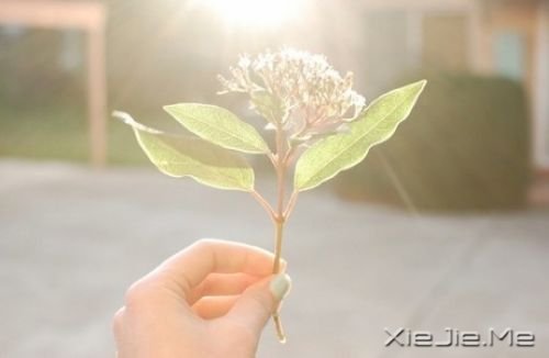 �������û�в��ᵭ�Ị̇�û�в���õ��� (1)