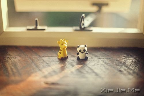 早安心语:坚持需要勇气,重新来过更是如此 (10)