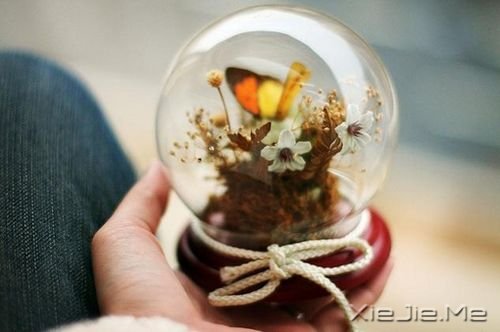 ��������������Ҫ��̫�࣬����Ż������ϲ (2)