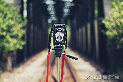 早安心语:坚毅的人总会出头 (5)