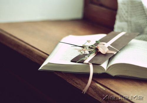 晚安心语:当你学会珍惜自己,世界才会珍惜你 (5)