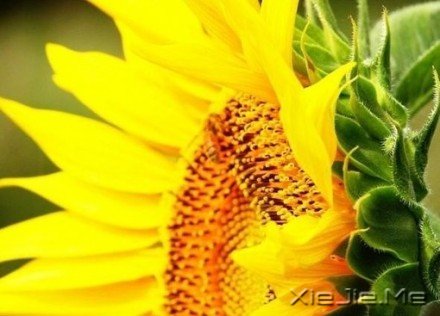 经典语录:你的世界,就是整个世界 (8)